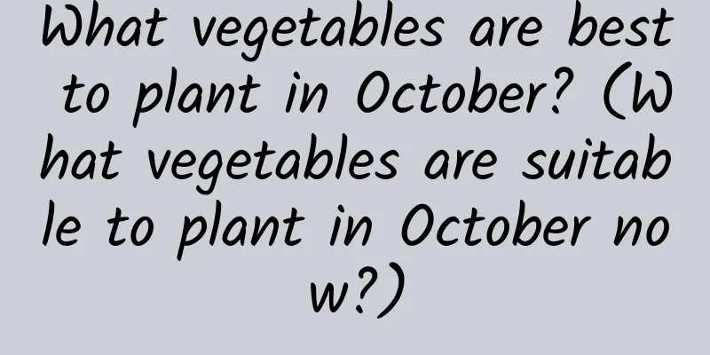 What vegetables are best to plant in October? (What vegetables are suitable to plant in October now?)