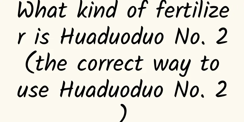 What kind of fertilizer is Huaduoduo No. 2 (the correct way to use Huaduoduo No. 2)