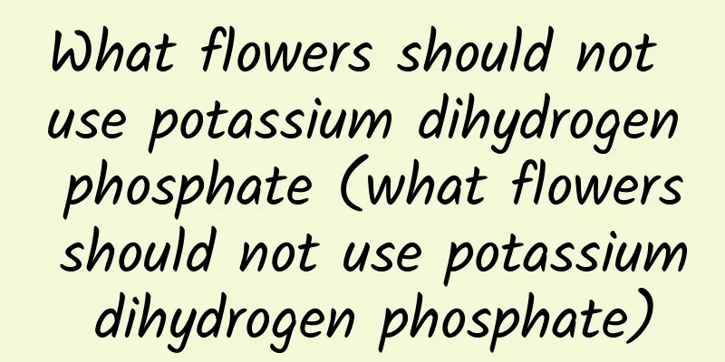 What flowers should not use potassium dihydrogen phosphate (what flowers should not use potassium dihydrogen phosphate)