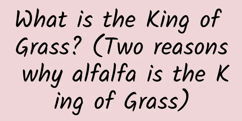 What is the King of Grass? (Two reasons why alfalfa is the King of Grass)