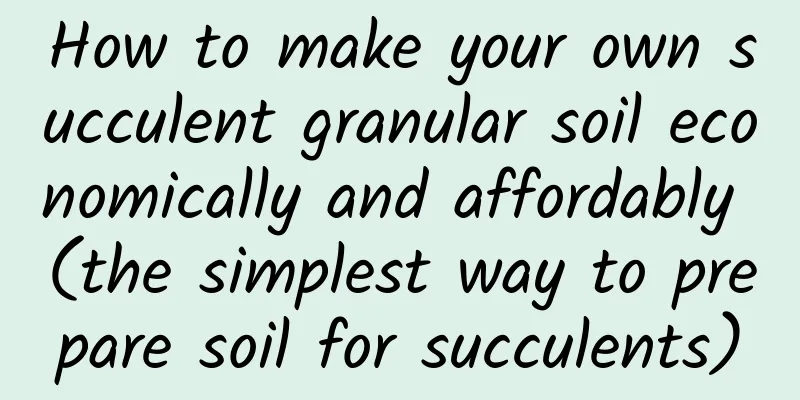 How to make your own succulent granular soil economically and affordably (the simplest way to prepare soil for succulents)