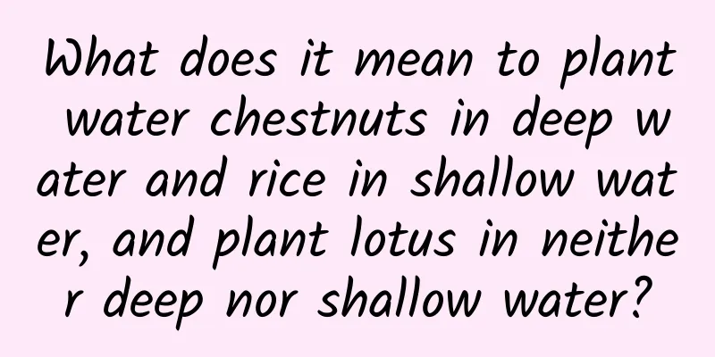 What does it mean to plant water chestnuts in deep water and rice in shallow water, and plant lotus in neither deep nor shallow water?