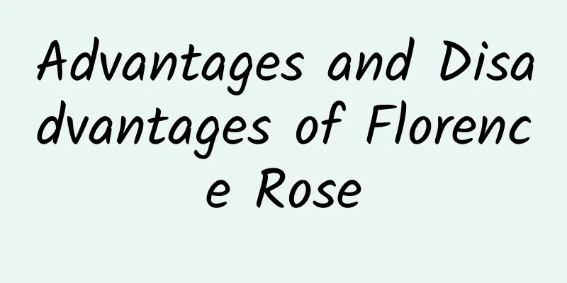 Advantages and Disadvantages of Florence Rose