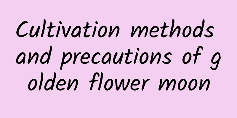 Cultivation methods and precautions of golden flower moon