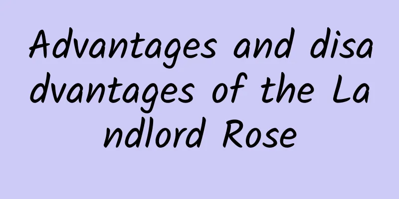 Advantages and disadvantages of the Landlord Rose