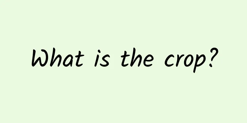 What is the crop?