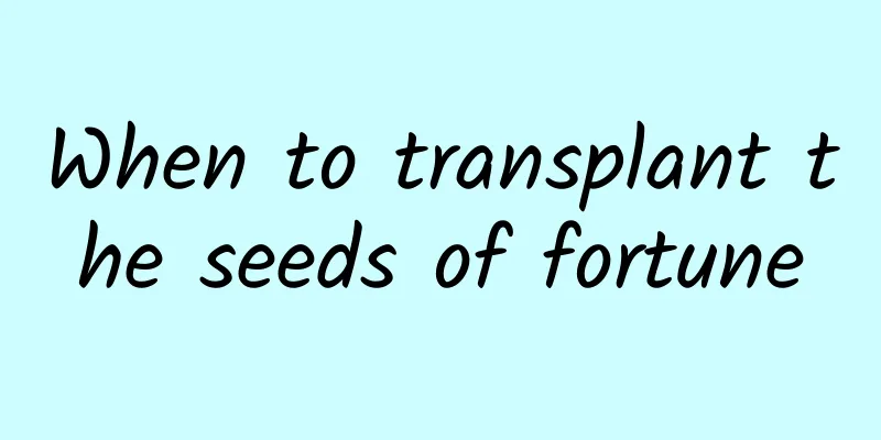 When to transplant the seeds of fortune
