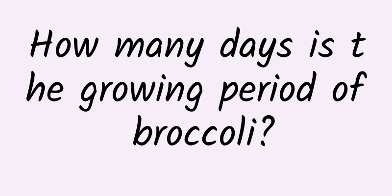How many days is the growing period of broccoli?
