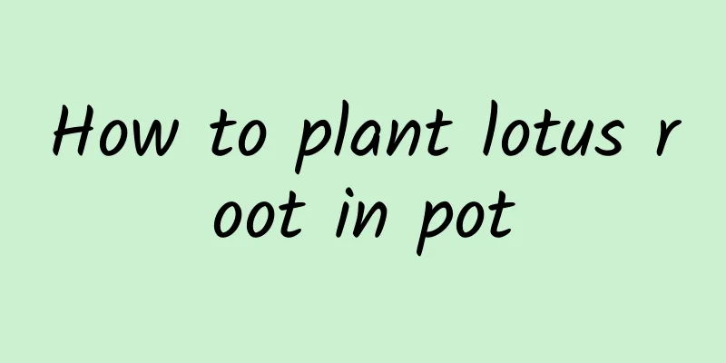 How to plant lotus root in pot