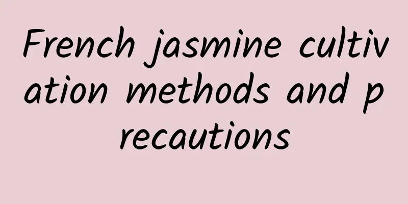 French jasmine cultivation methods and precautions
