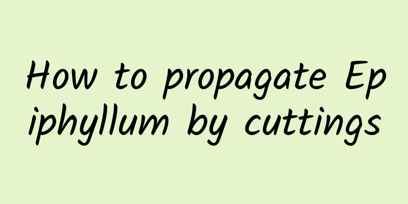 How to propagate Epiphyllum by cuttings