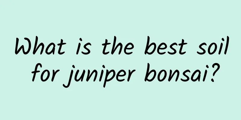 What is the best soil for juniper bonsai?