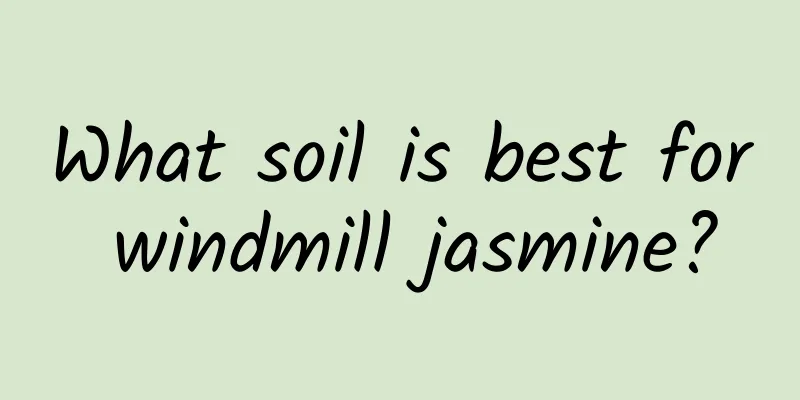 What soil is best for windmill jasmine?