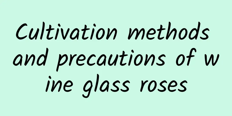 Cultivation methods and precautions of wine glass roses