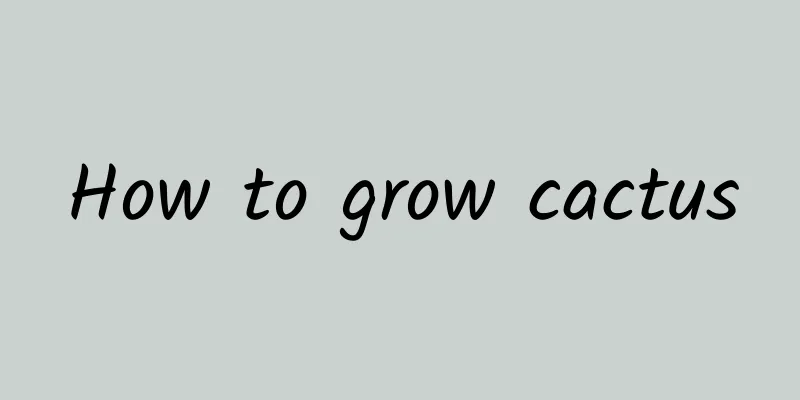 How to grow cactus