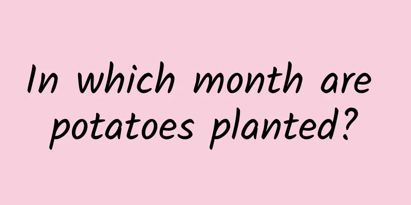 In which month are potatoes planted?