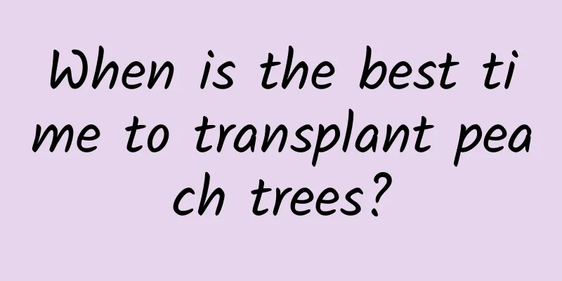 When is the best time to transplant peach trees?