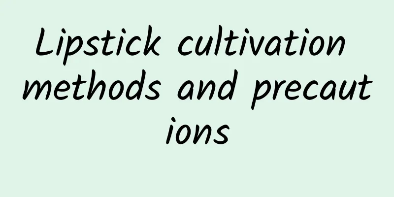 Lipstick cultivation methods and precautions