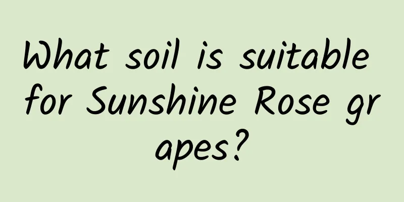 What soil is suitable for Sunshine Rose grapes?