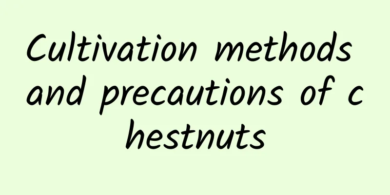 Cultivation methods and precautions of chestnuts