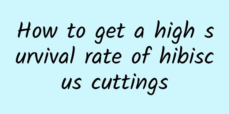 How to get a high survival rate of hibiscus cuttings
