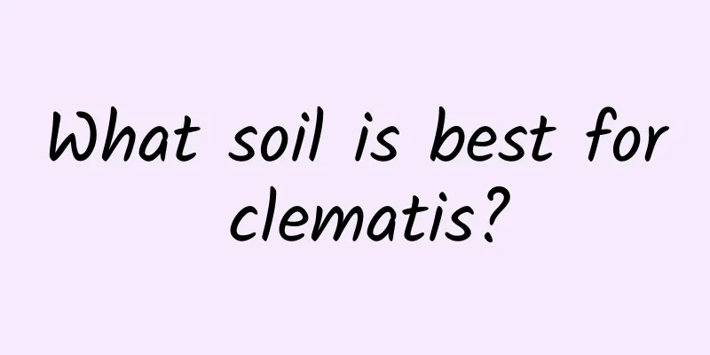 What soil is best for clematis?