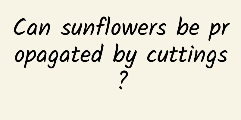 Can sunflowers be propagated by cuttings?