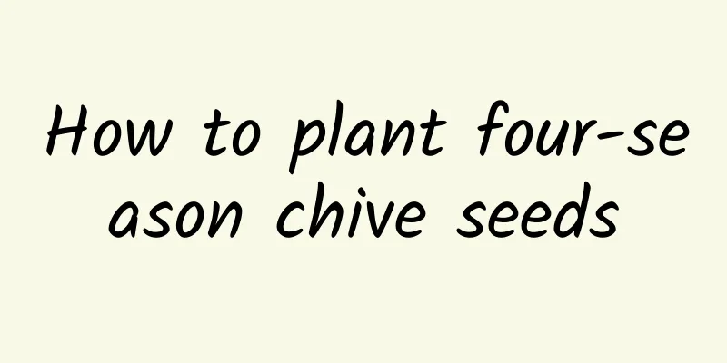 How to plant four-season chive seeds