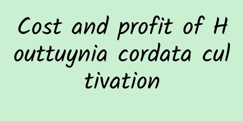 Cost and profit of Houttuynia cordata cultivation