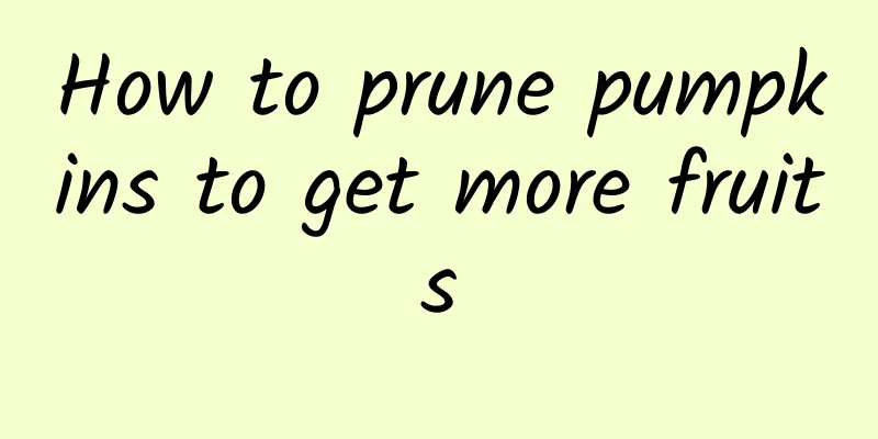 How to prune pumpkins to get more fruits
