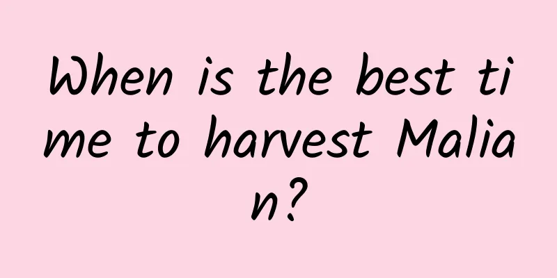 When is the best time to harvest Malian?