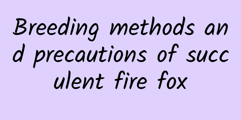 Breeding methods and precautions of succulent fire fox
