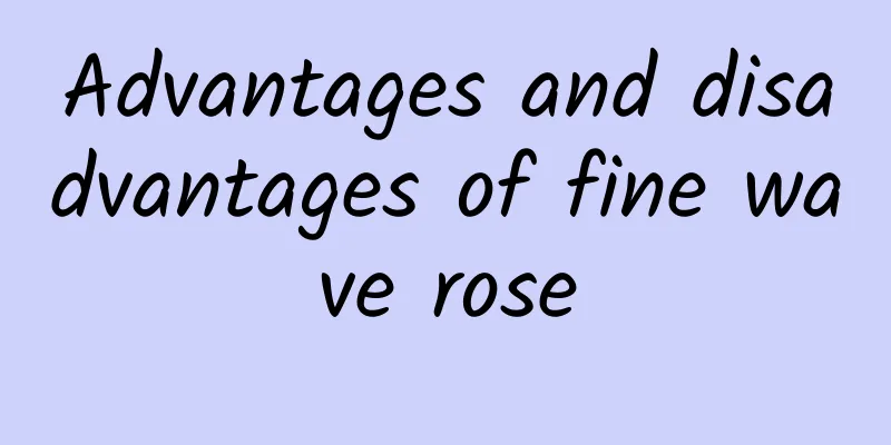 Advantages and disadvantages of fine wave rose