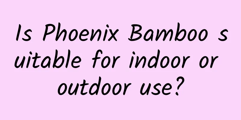 Is Phoenix Bamboo suitable for indoor or outdoor use?