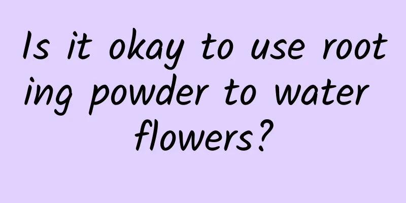 Is it okay to use rooting powder to water flowers?