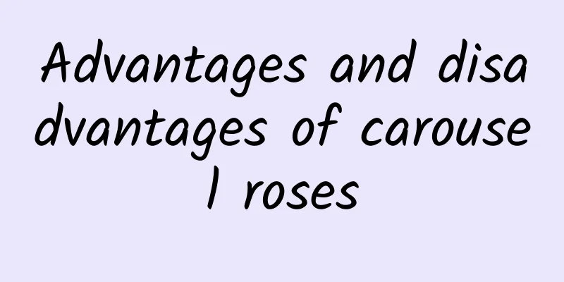 Advantages and disadvantages of carousel roses
