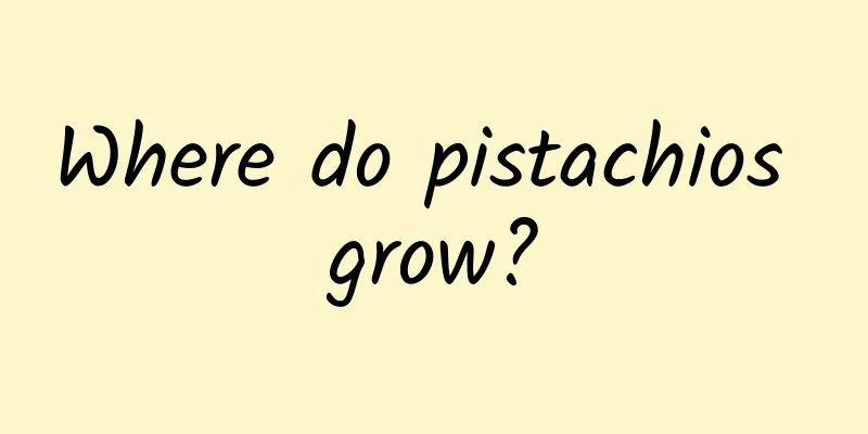 Where do pistachios grow?