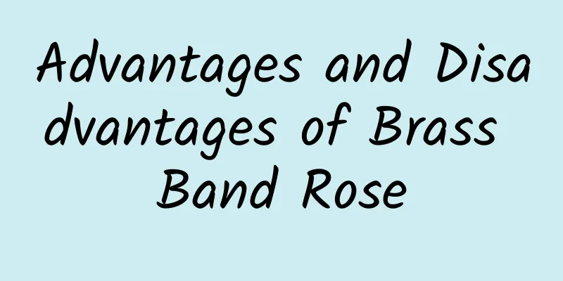 Advantages and Disadvantages of Brass Band Rose