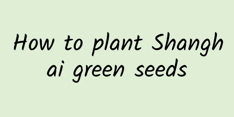 How to plant Shanghai green seeds