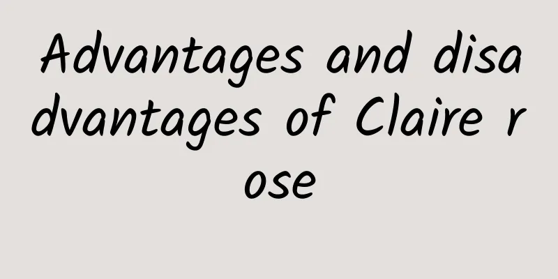 Advantages and disadvantages of Claire rose