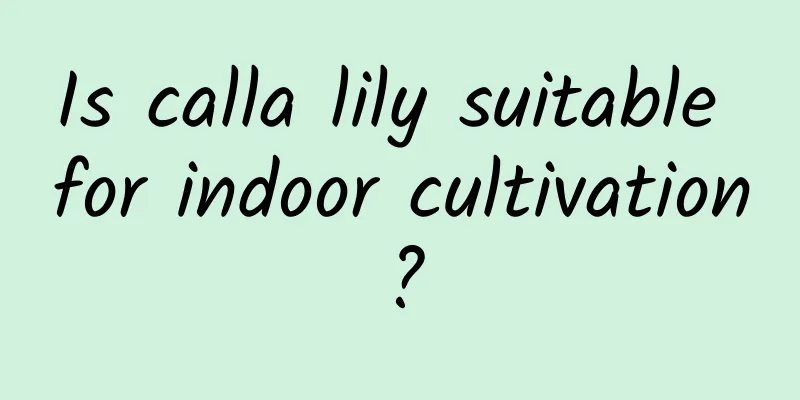 Is calla lily suitable for indoor cultivation?