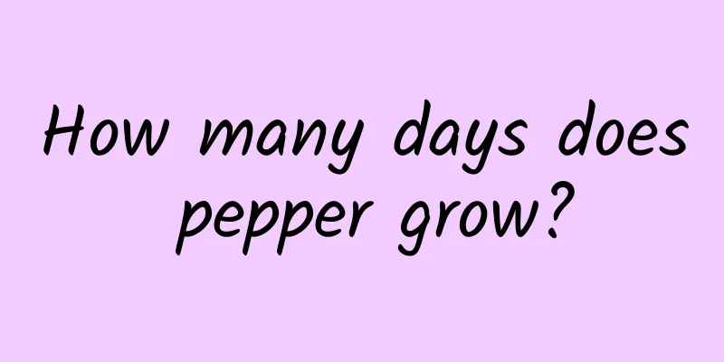 How many days does pepper grow?