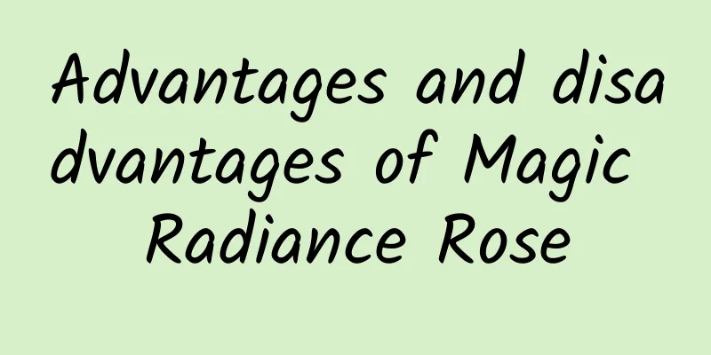 Advantages and disadvantages of Magic Radiance Rose