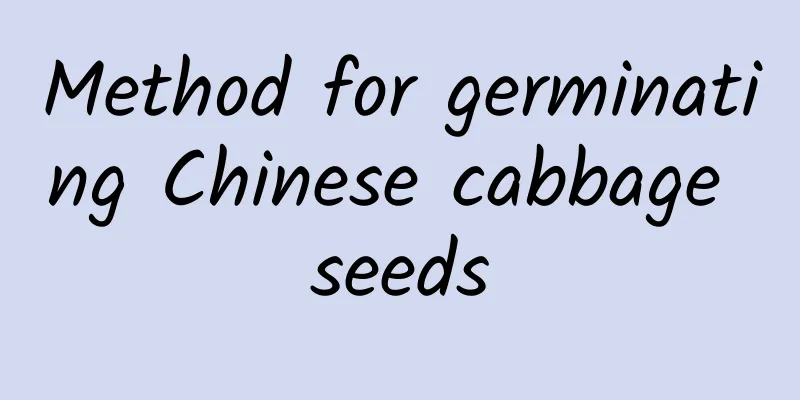 Method for germinating Chinese cabbage seeds