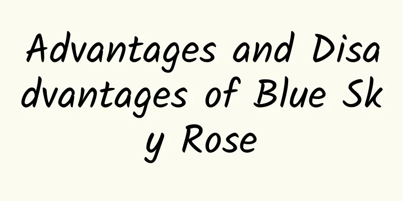 Advantages and Disadvantages of Blue Sky Rose