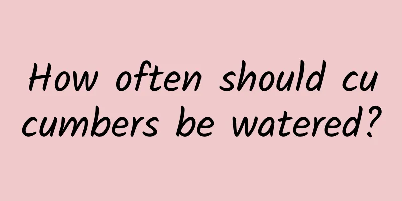 How often should cucumbers be watered?