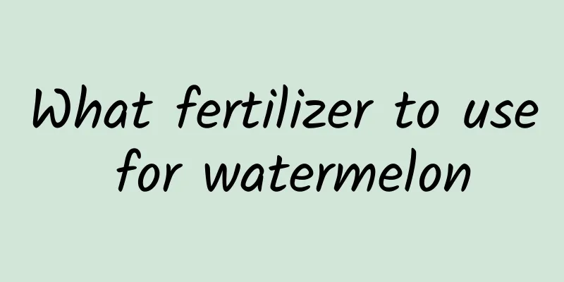 What fertilizer to use for watermelon