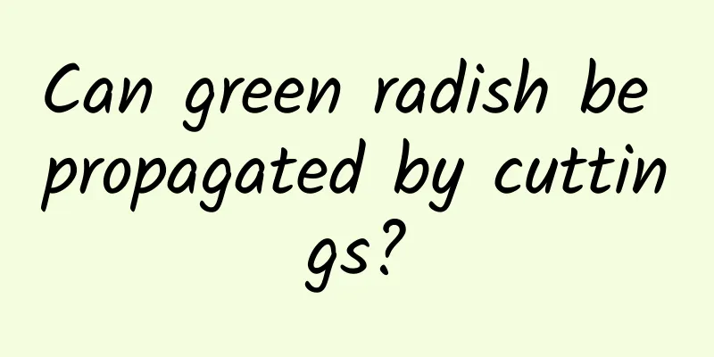 Can green radish be propagated by cuttings?