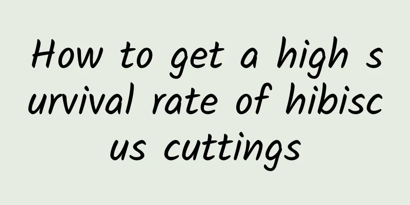 How to get a high survival rate of hibiscus cuttings