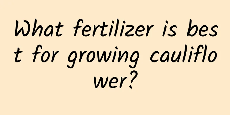 What fertilizer is best for growing cauliflower?